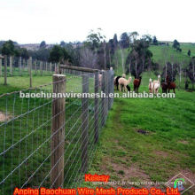 Fil en acier inoxydable Wire Ranch pour élever des animaux